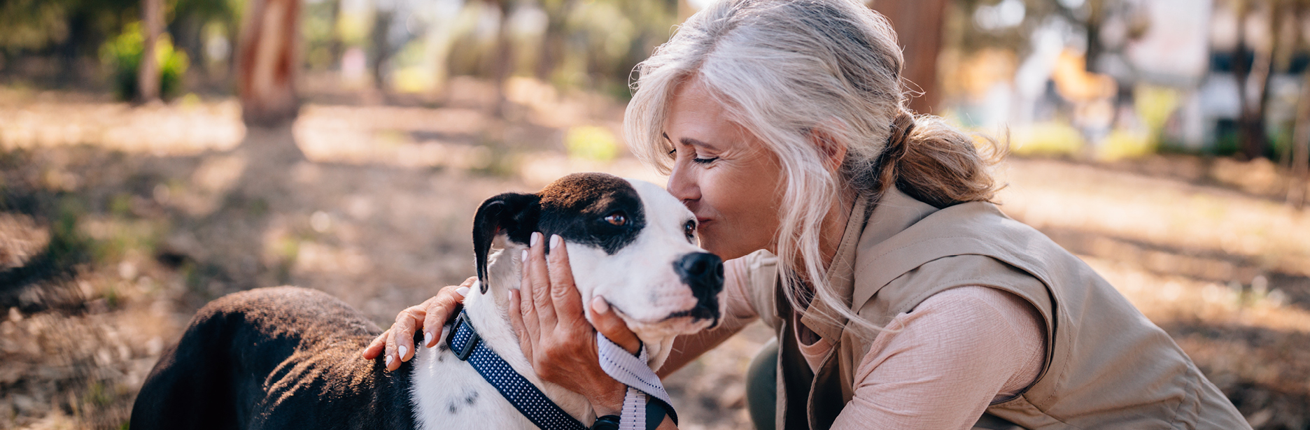 top 5 benefits of owning a dog during retirement